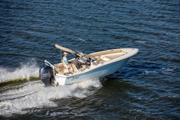 Scout 195 Sport Dorado